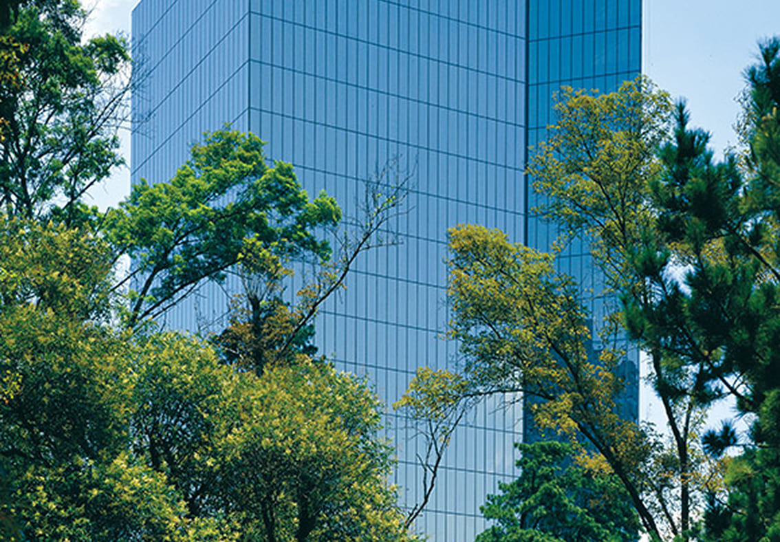 naturaleza